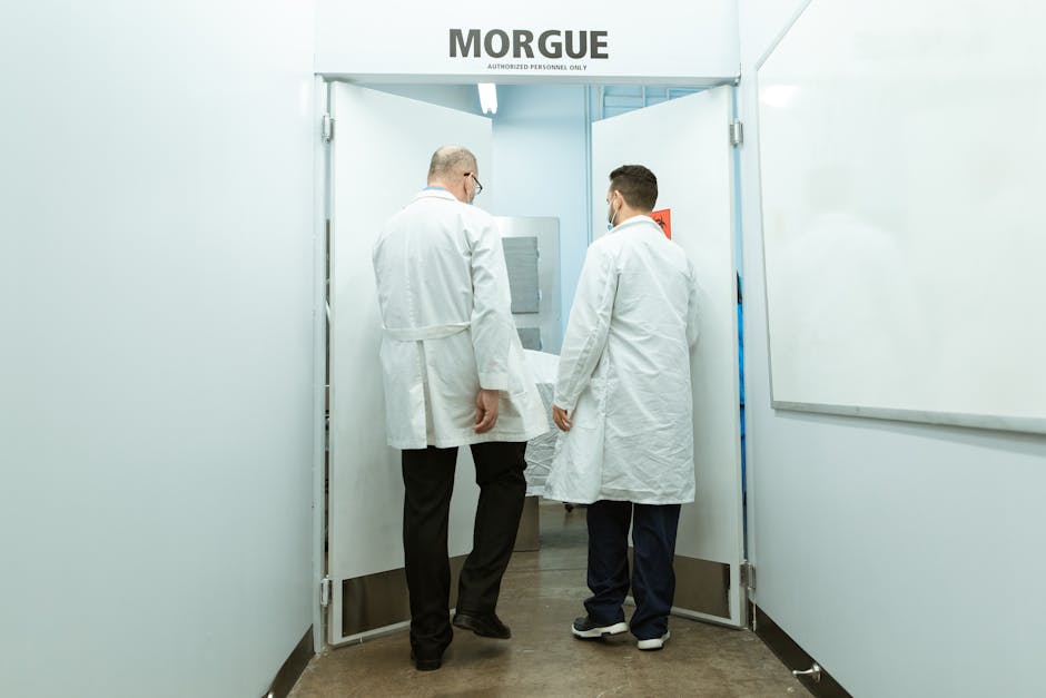 Keeping It Cool: A Roundup of the Best Morgue Coolers - American Mortuary Coolers & Equipments Keeping It Cool: A Roundup of the Best Morgue Coolers - American Mortuary Coolers & Equipments